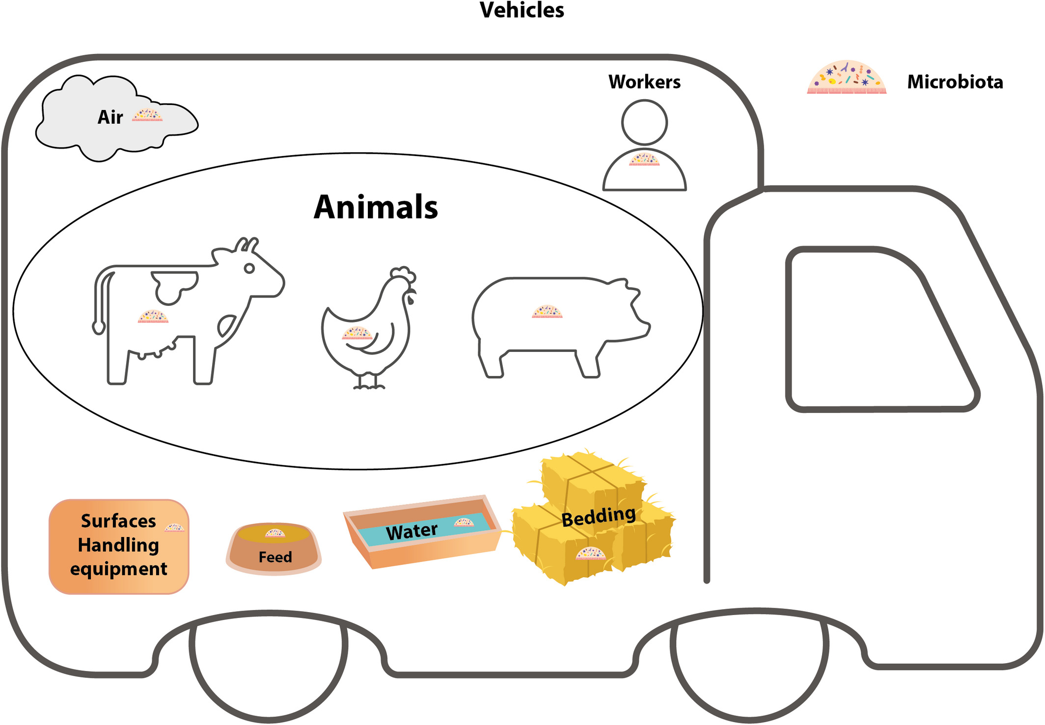 illustrasjon av dyretransport og AMR (laget av EFSA)