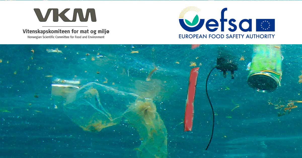 VKM og EFSA logoer over et bilde med plast-forsøplet sjø