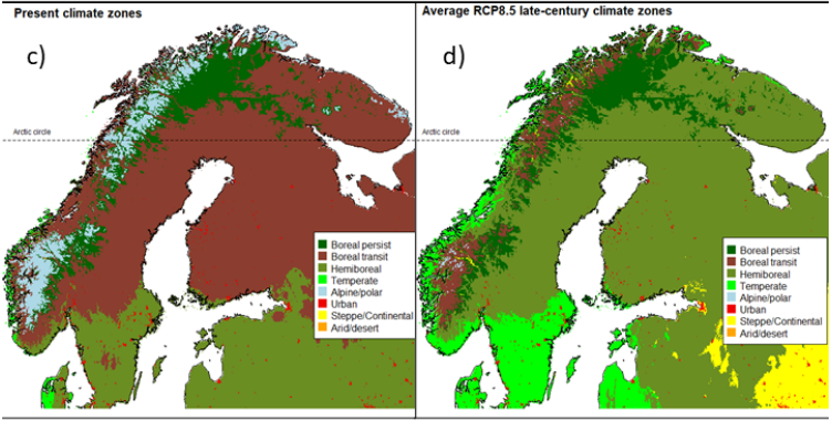 Norwegian forests vulnerable to rapid climate change: model shows boreal forest now and model for late-century