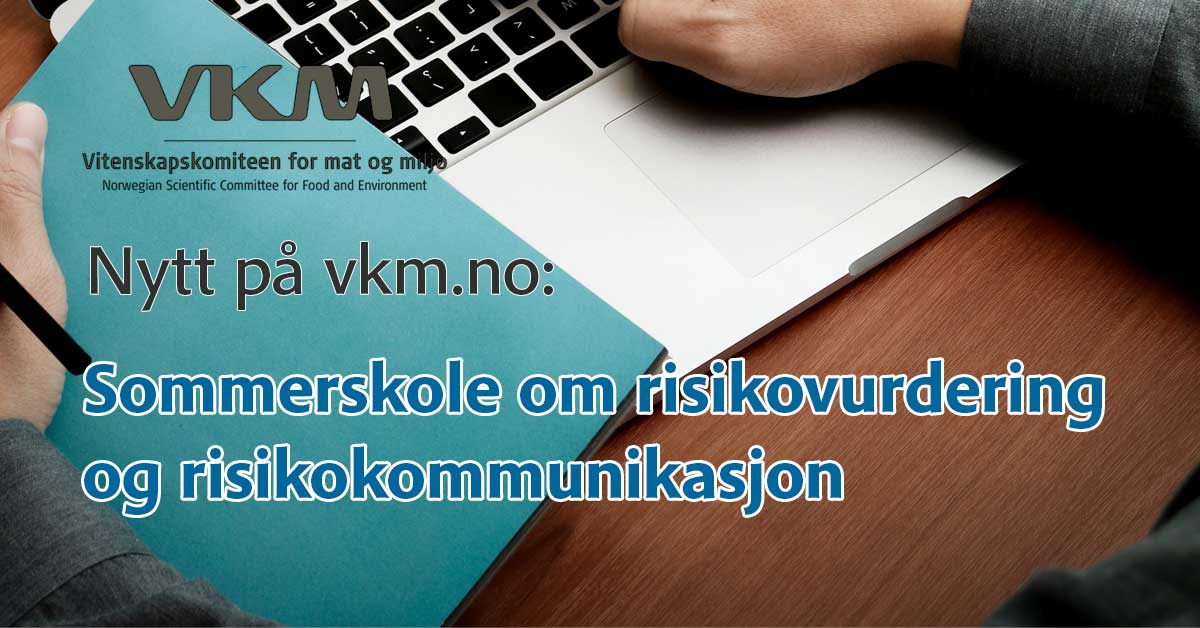 PC med hand, VKM logo, tekst "sommerskole om risikovurdering og risikokommunikasjon"