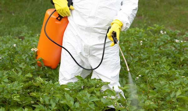 bilde av man som sprayer plantevernmiddel