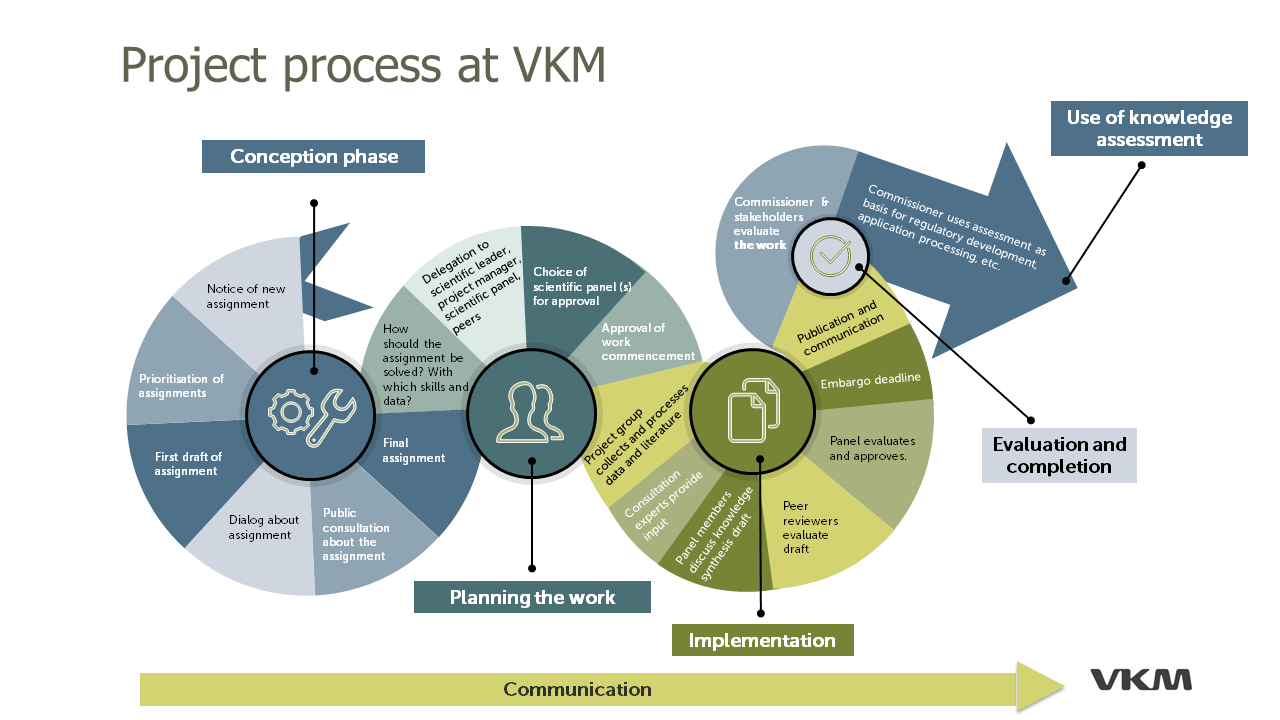 Work processes used in VKM's scientific assessments  