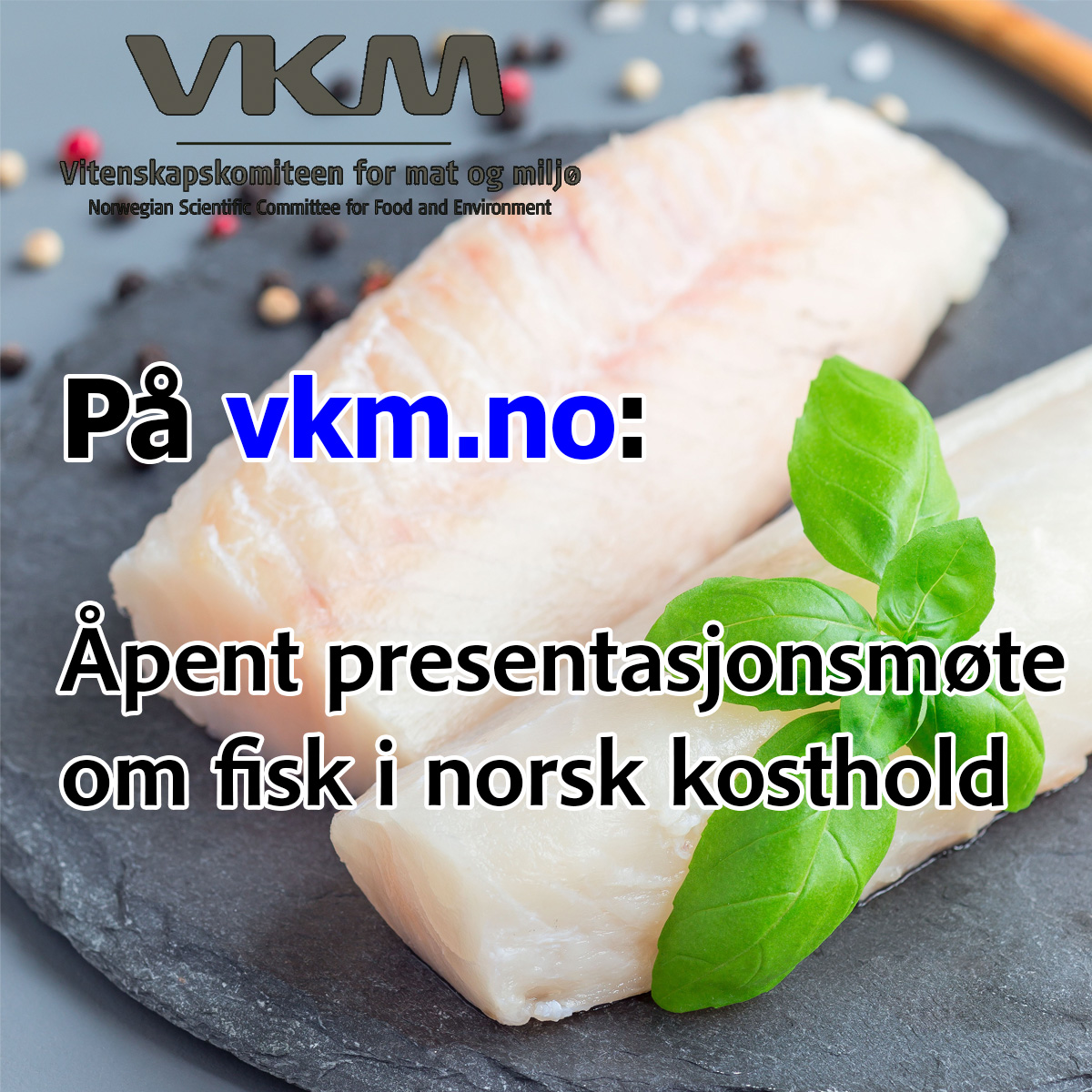 7. juni overleverer VKM resultater fra en nytte- og risikovurdering av fisk i norsk kosthold til Mattilsynet,i et åpent møte. Fisk bildet.
